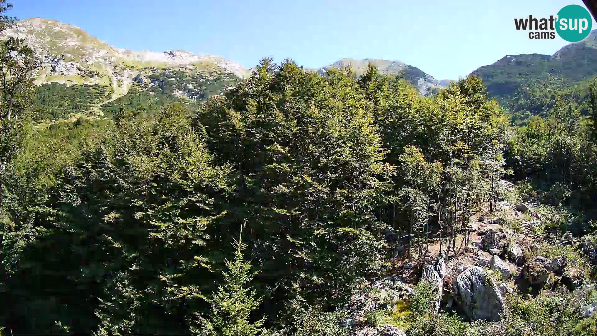 PLANINA RAZOR Live Cam (1315) | vista su Vogel e Globoko