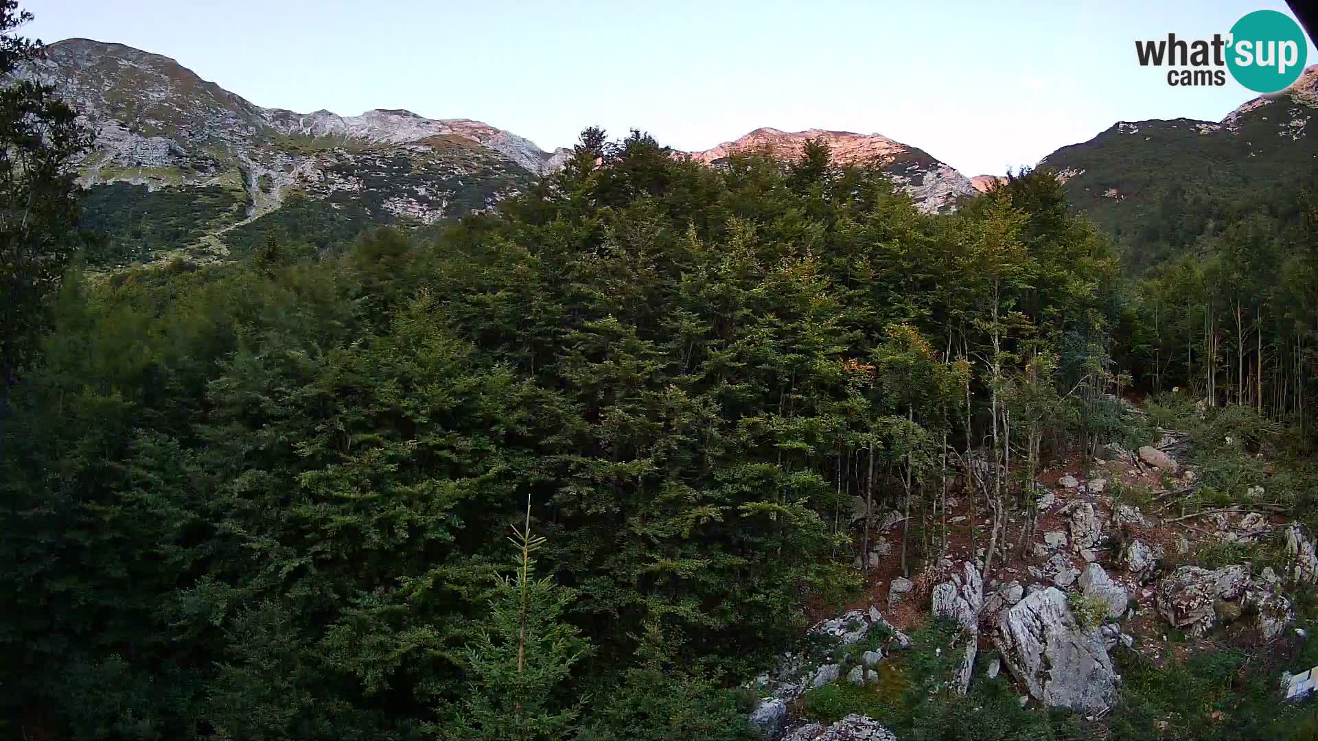 Livecam PLANINA RAZOR (1315) | vue sur Vogel et Globoko