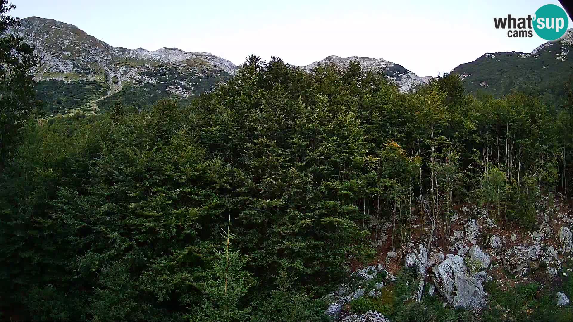 PLANINA RAZOR web kamera (1315) | pogled na Vogel i Globoko