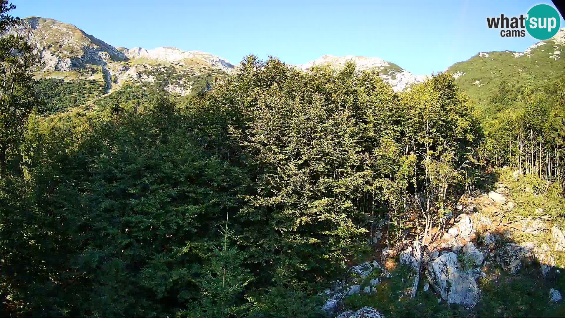 PLANINA RAZOR Live Cam (1315) | vista su Vogel e Globoko