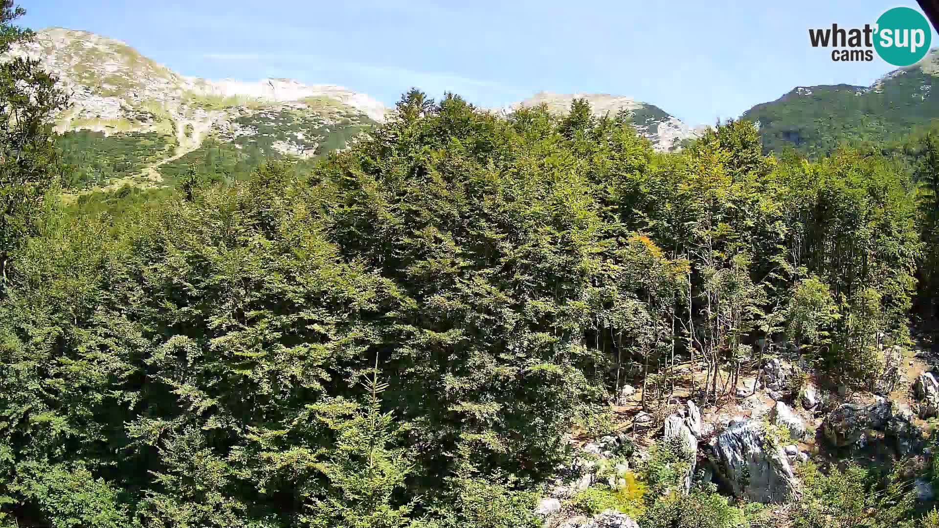 Cámara web PLANINA RAZOR (1315) | vista a Vogel y Globoko