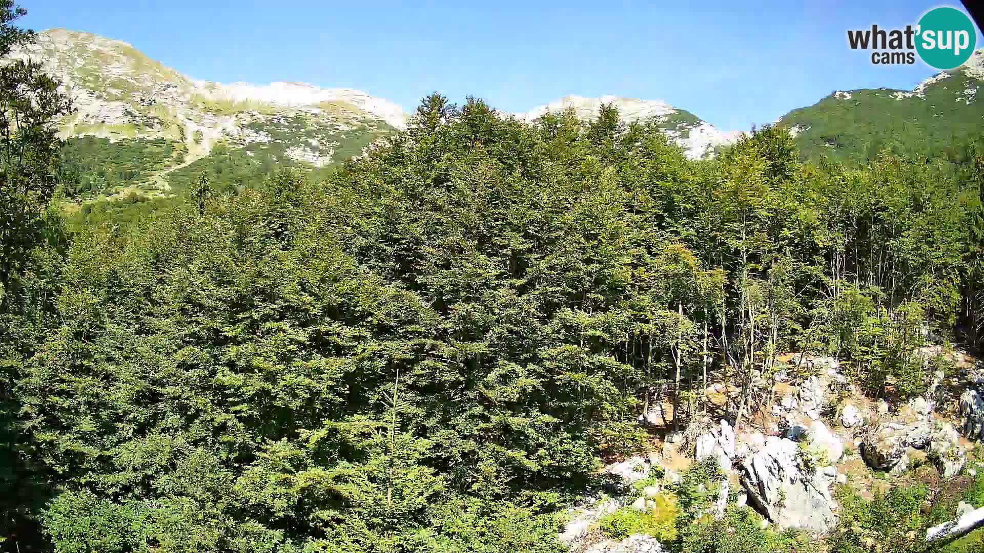 Livecam PLANINA RAZOR (1315) | vue sur Vogel et Globoko