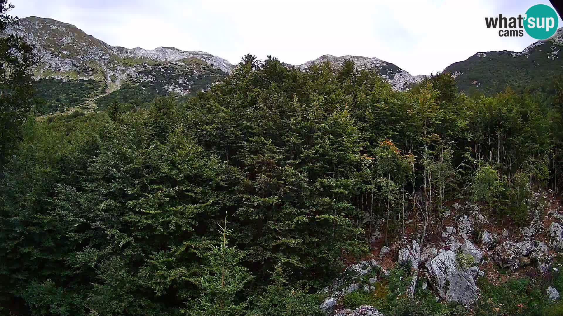 Webcam PLANINA RAZOR (1315) | Blick auf Vogel und Globoko
