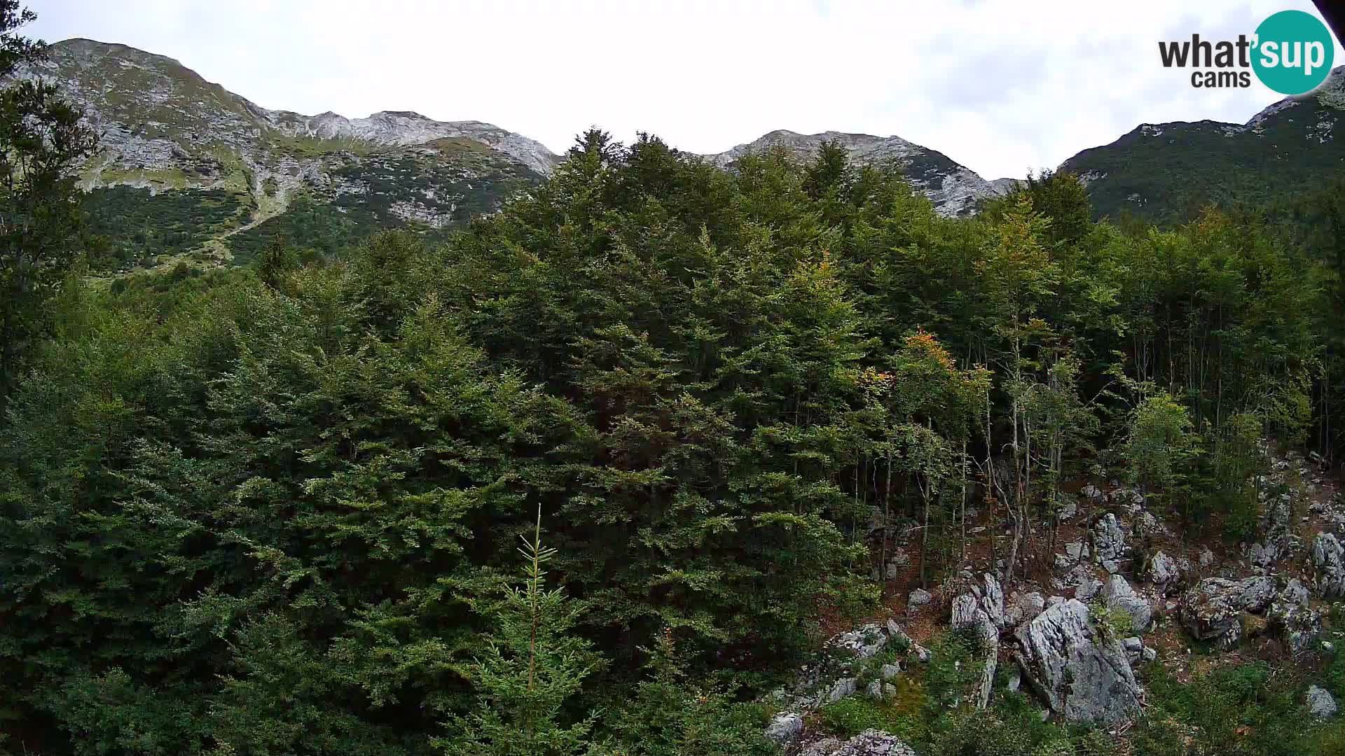 Livecam PLANINA RAZOR (1315) | vue sur Vogel et Globoko