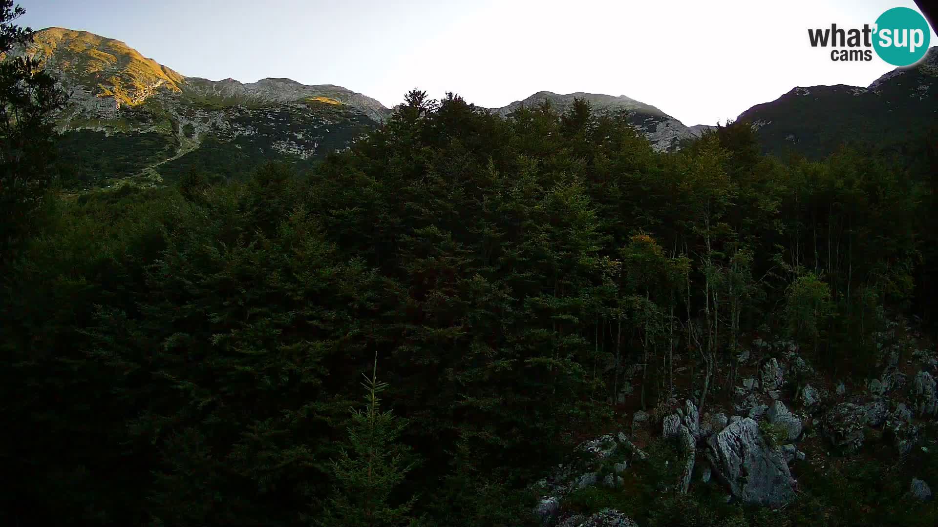Webcam PLANINA RAZOR (1315) | Blick auf Vogel und Globoko