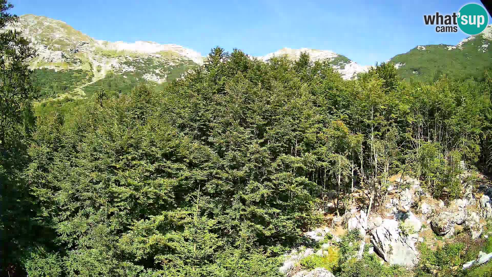 Webcam PLANINA RAZOR (1315) | Blick auf Vogel und Globoko