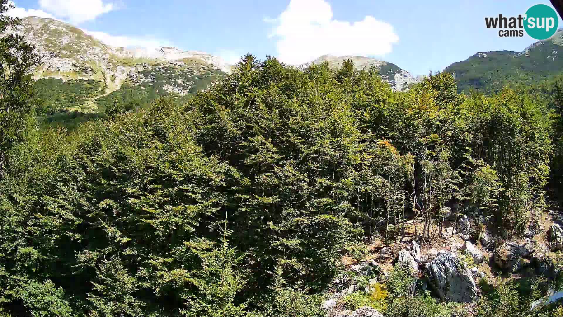 Cámara web PLANINA RAZOR (1315) | vista a Vogel y Globoko