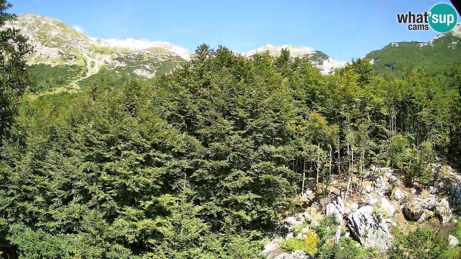 Webcam PLANINA RAZOR (1315) | Blick auf Vogel und Globoko