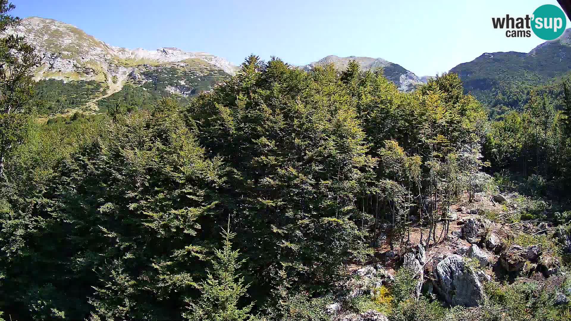 PLANINA RAZOR webcam (1315) | view to Vogel and Globoko