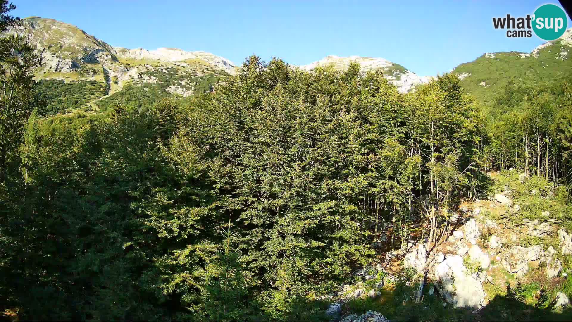 PLANINA RAZOR kamera (1315) | pogled na Vogel in Globoko