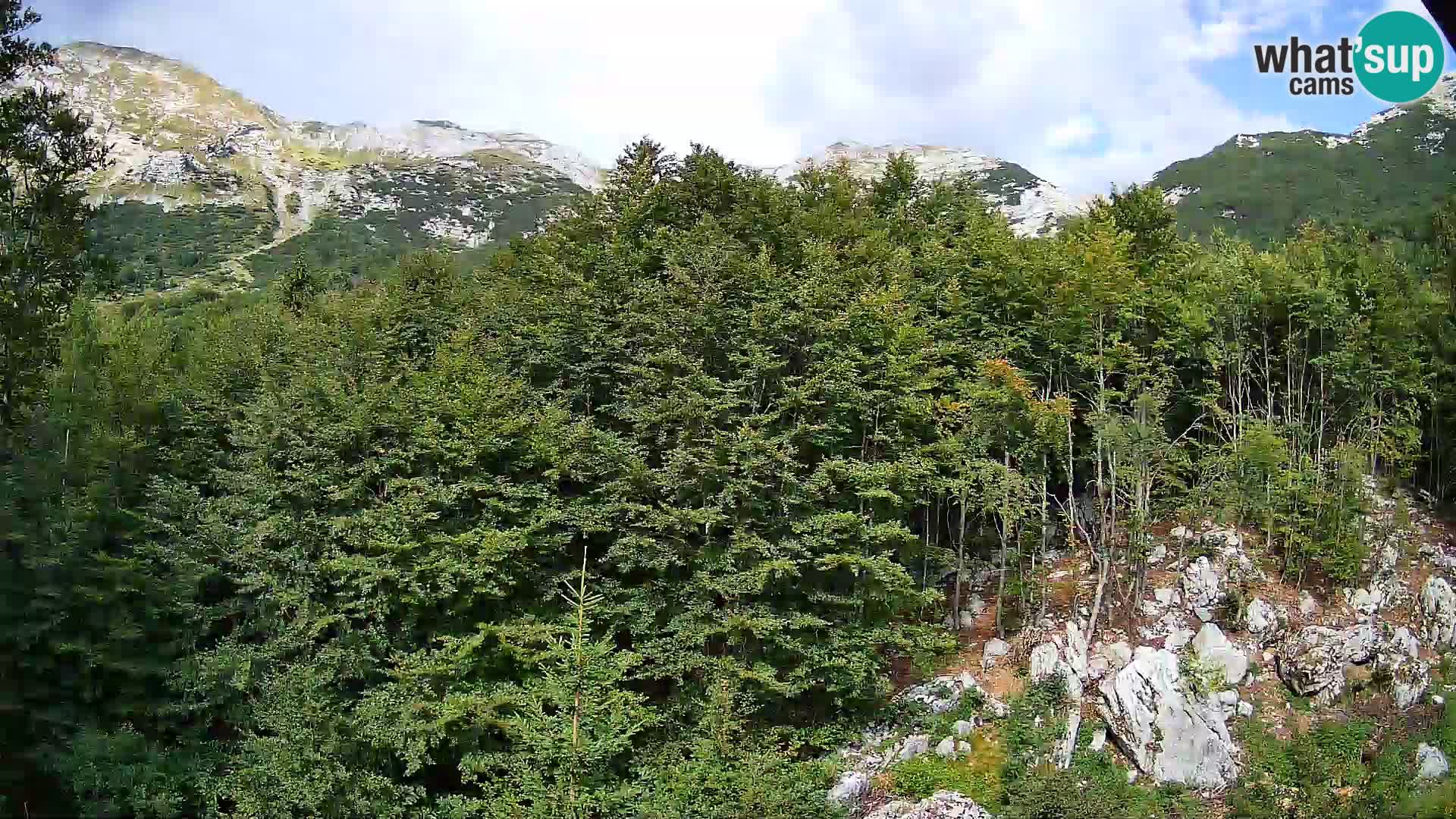 PLANINA RAZOR Live Cam (1315) | vista su Vogel e Globoko