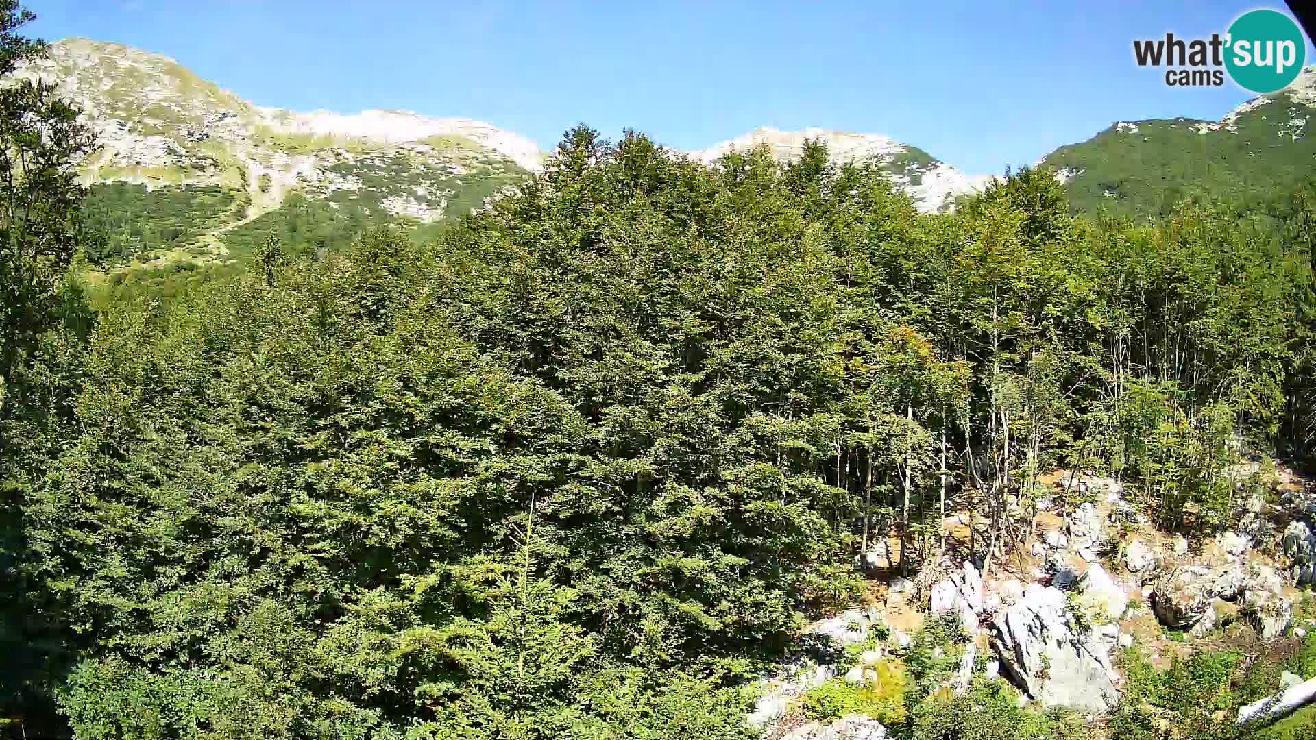 Webcam PLANINA RAZOR (1315) | Blick auf Vogel und Globoko