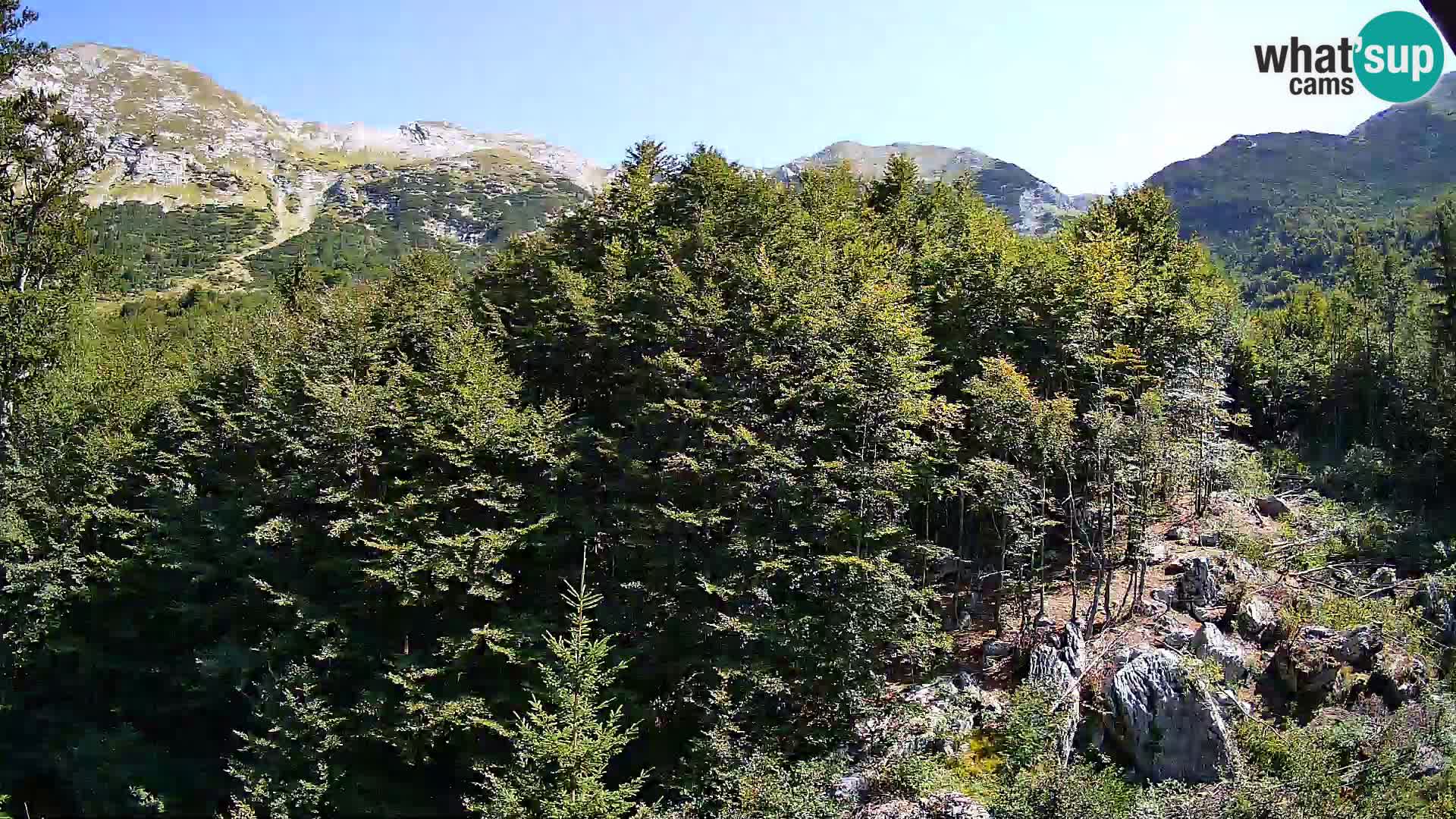 Webcam PLANINA RAZOR (1315) | Blick auf Vogel und Globoko