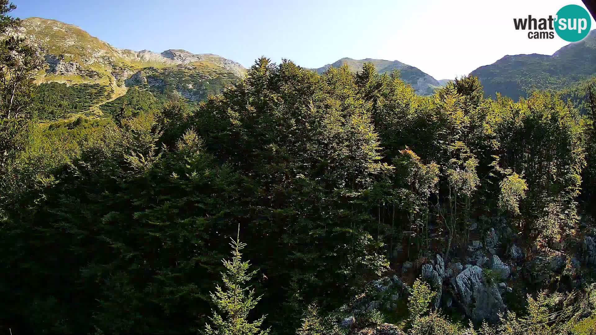 Cámara web PLANINA RAZOR (1315) | vista a Vogel y Globoko