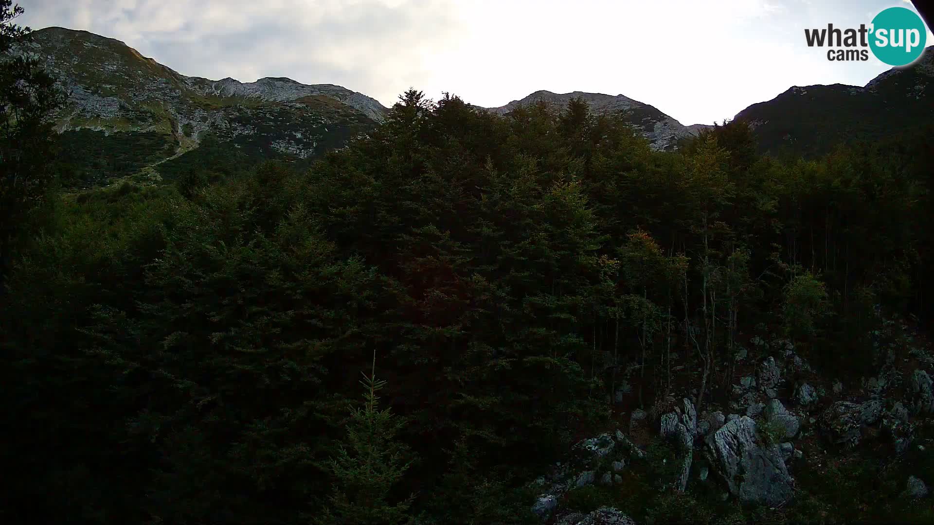 Livecam PLANINA RAZOR (1315) | vue sur Vogel et Globoko