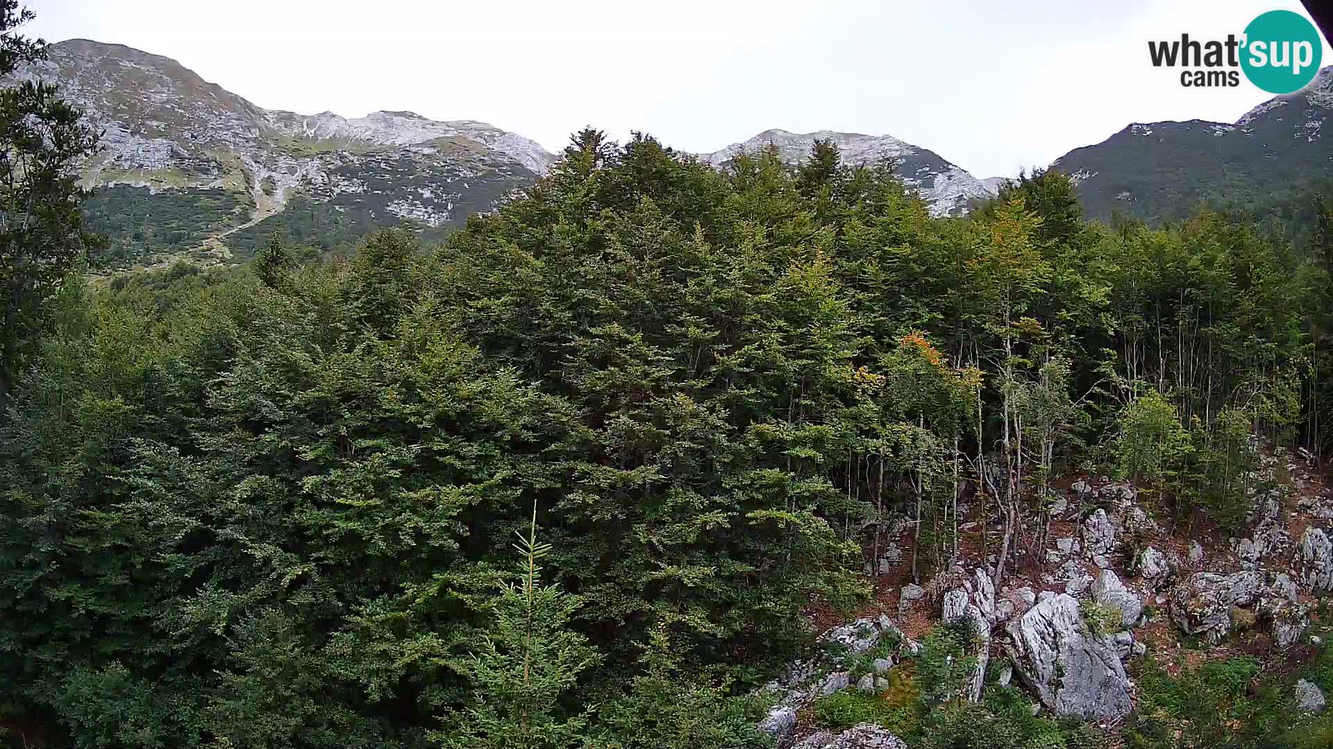 Cámara web PLANINA RAZOR (1315) | vista a Vogel y Globoko