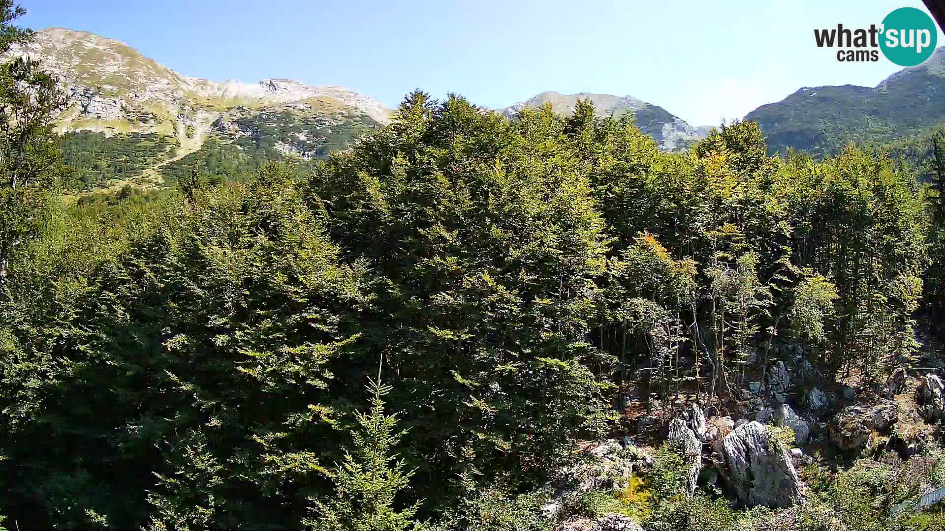 Livecam PLANINA RAZOR (1315) | vue sur Vogel et Globoko
