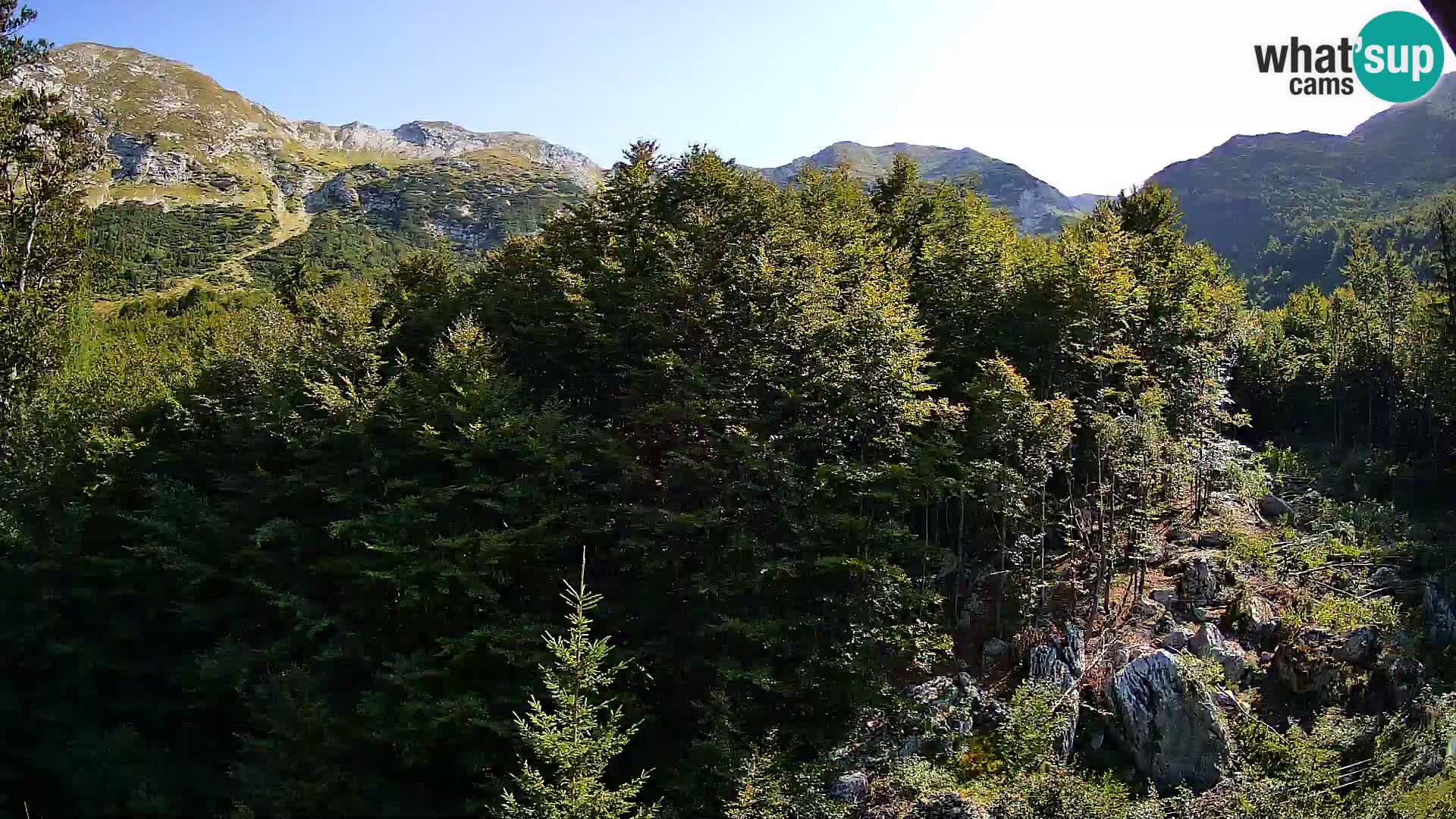 PLANINA RAZOR webcam (1315) | view to Vogel and Globoko