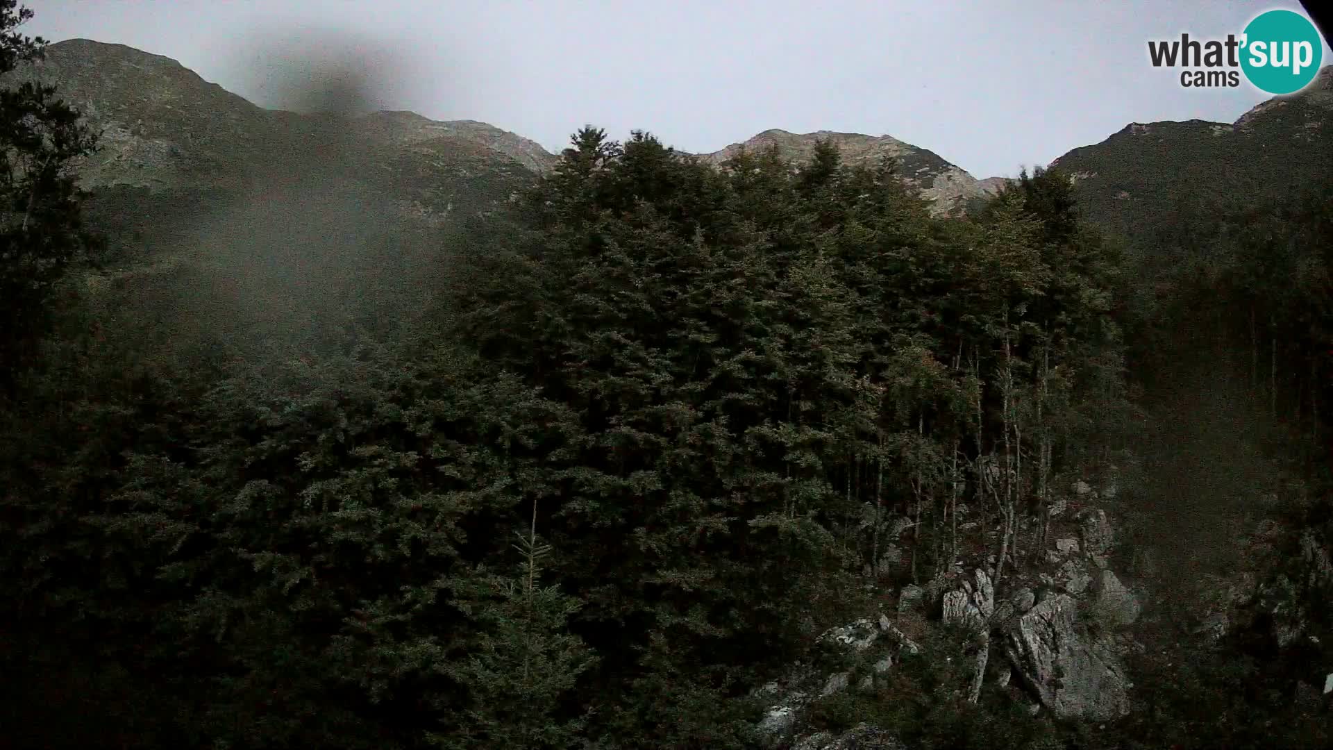 Webcam PLANINA RAZOR (1315) | Blick auf Vogel und Globoko