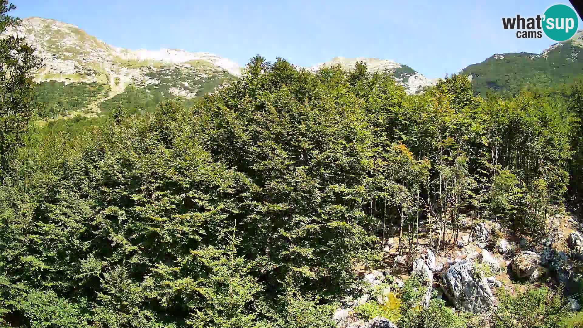 PLANINA RAZOR Live Cam (1315) | vista su Vogel e Globoko