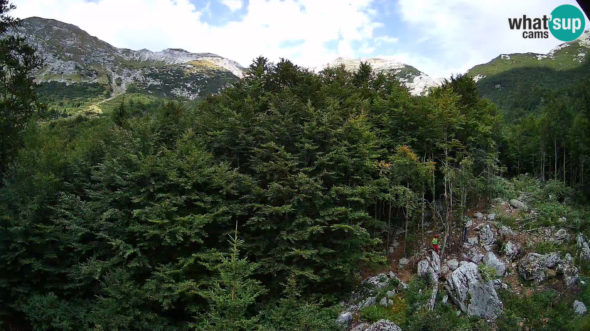 PLANINA RAZOR Live Cam (1315) | vista su Vogel e Globoko