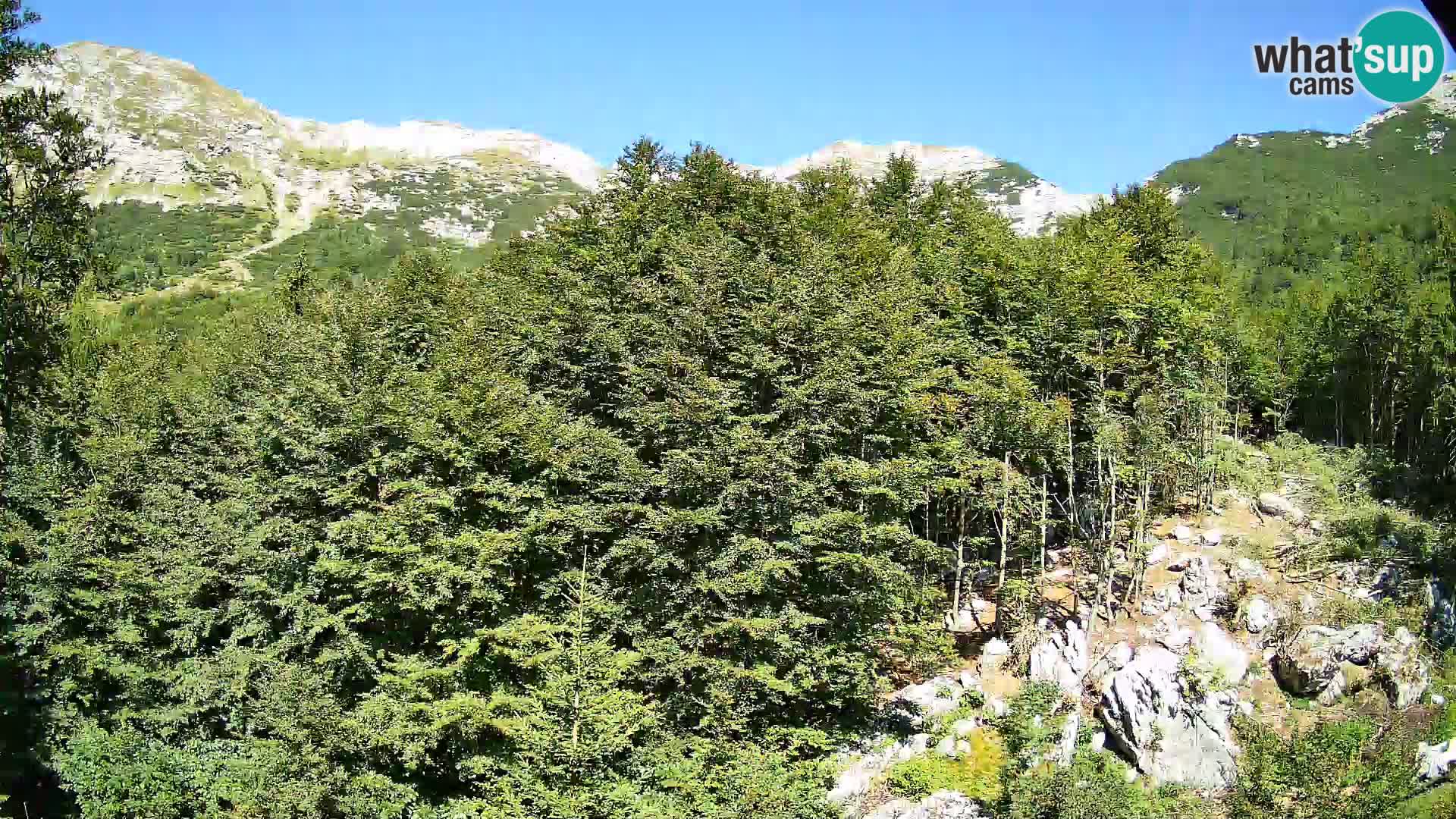 Livecam PLANINA RAZOR (1315) | vue sur Vogel et Globoko
