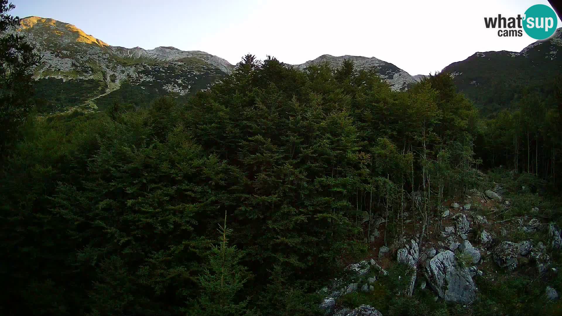 Webcam PLANINA RAZOR (1315) | Blick auf Vogel und Globoko