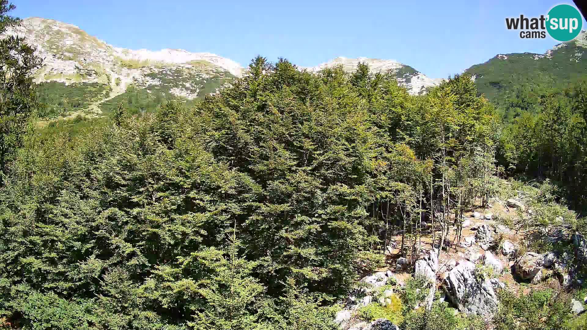 PLANINA RAZOR webcam (1315) | view to Vogel and Globoko