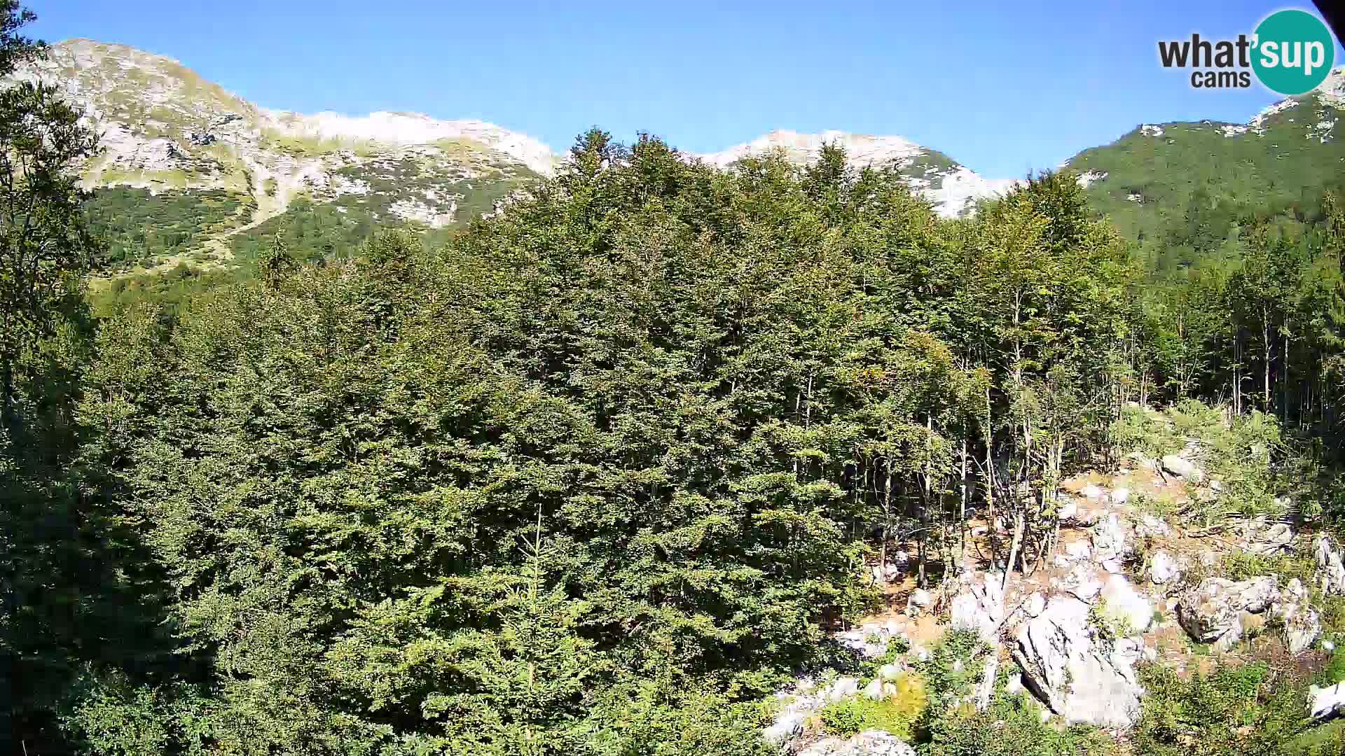 Webcam PLANINA RAZOR (1315) | Blick auf Vogel und Globoko