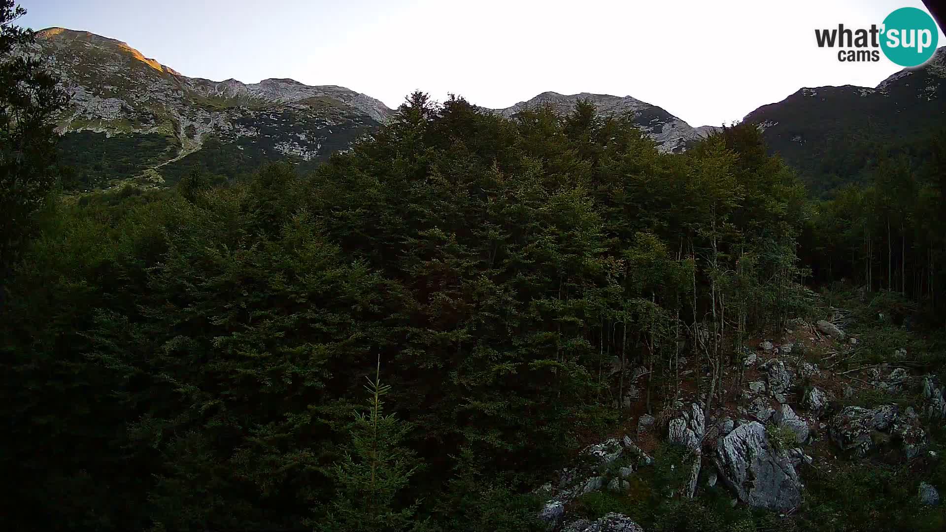 Livecam PLANINA RAZOR (1315) | vue sur Vogel et Globoko
