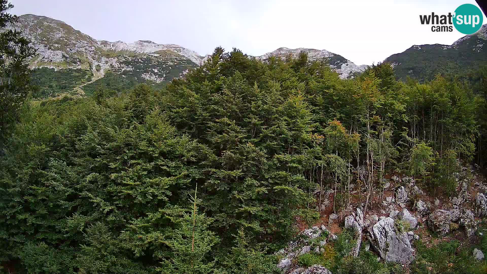 PLANINA RAZOR Live Cam (1315) | vista su Vogel e Globoko