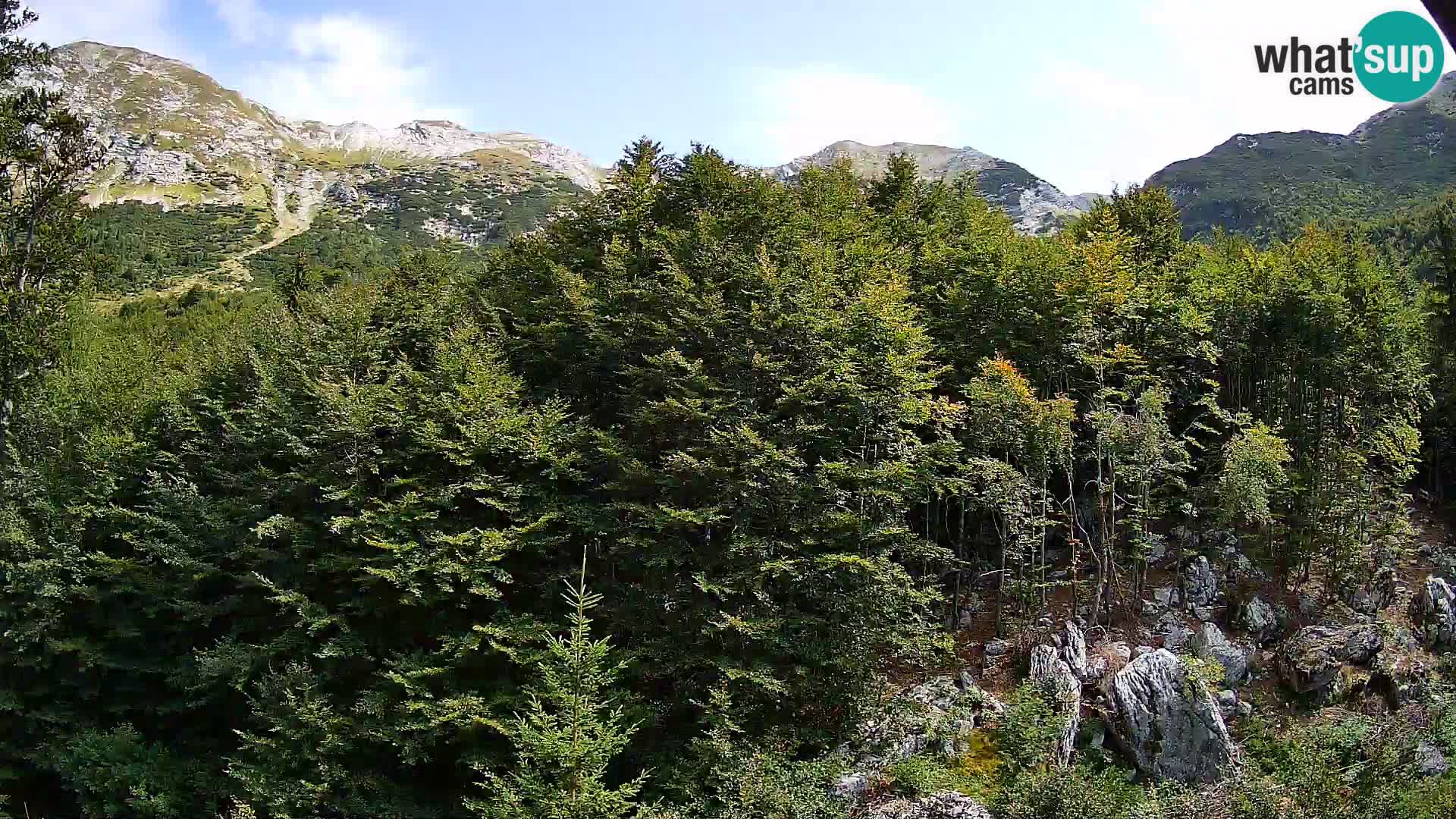 Cámara web PLANINA RAZOR (1315) | vista a Vogel y Globoko