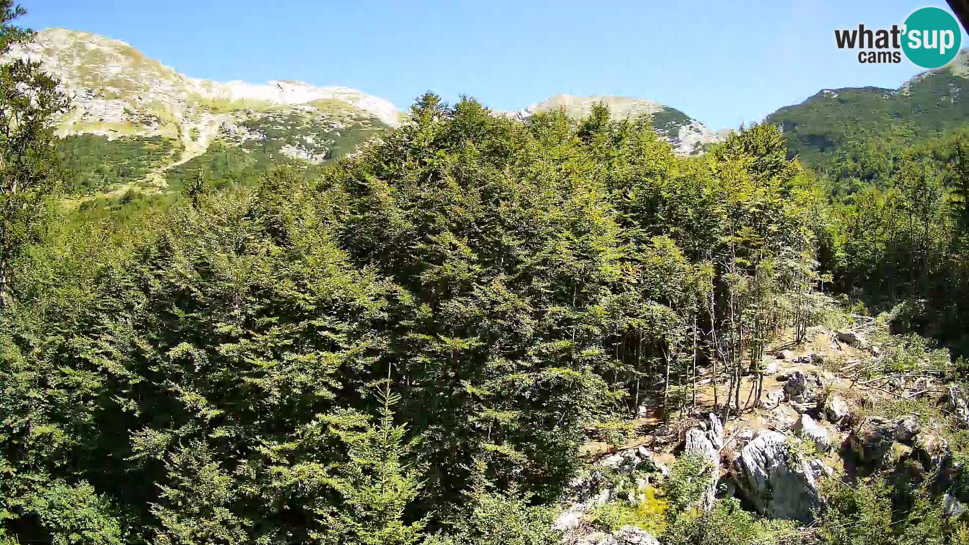 Webcam PLANINA RAZOR (1315) | Blick auf Vogel und Globoko