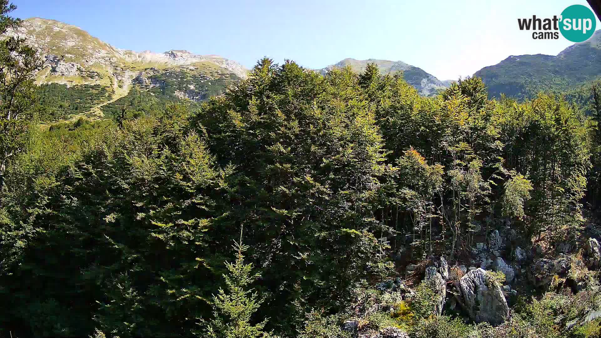 PLANINA RAZOR web kamera (1315) | pogled na Vogel i Globoko
