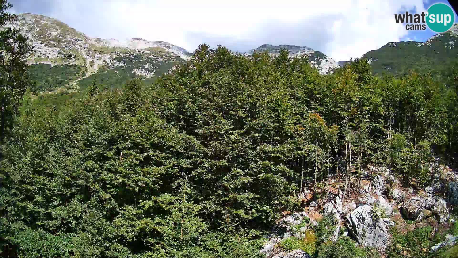 PLANINA RAZOR webcam (1315) | view to Vogel and Globoko