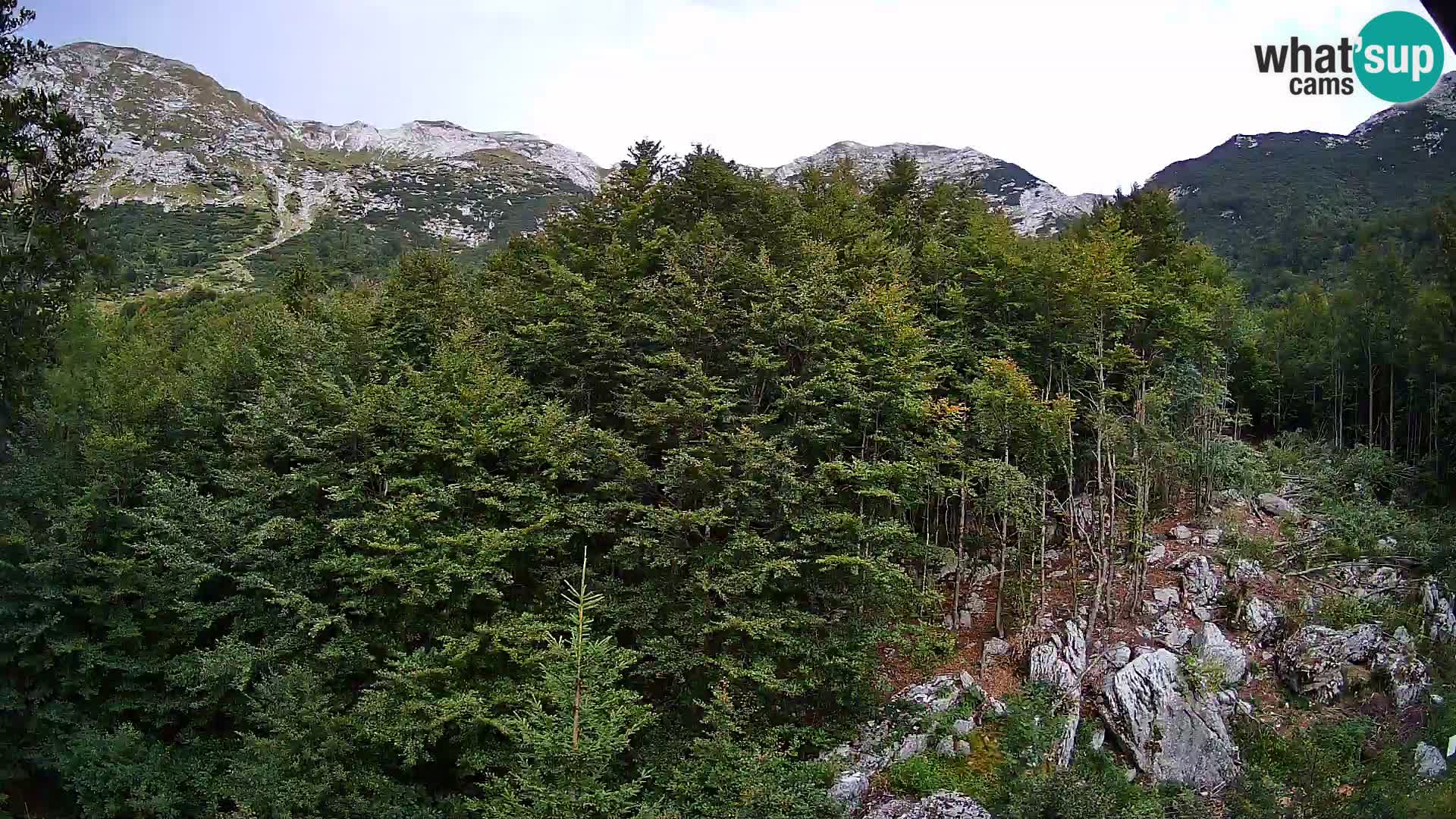 Livecam PLANINA RAZOR (1315) | vue sur Vogel et Globoko