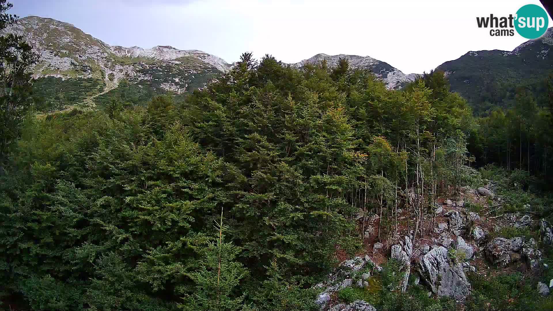 Webcam PLANINA RAZOR (1315) | Blick auf Vogel und Globoko