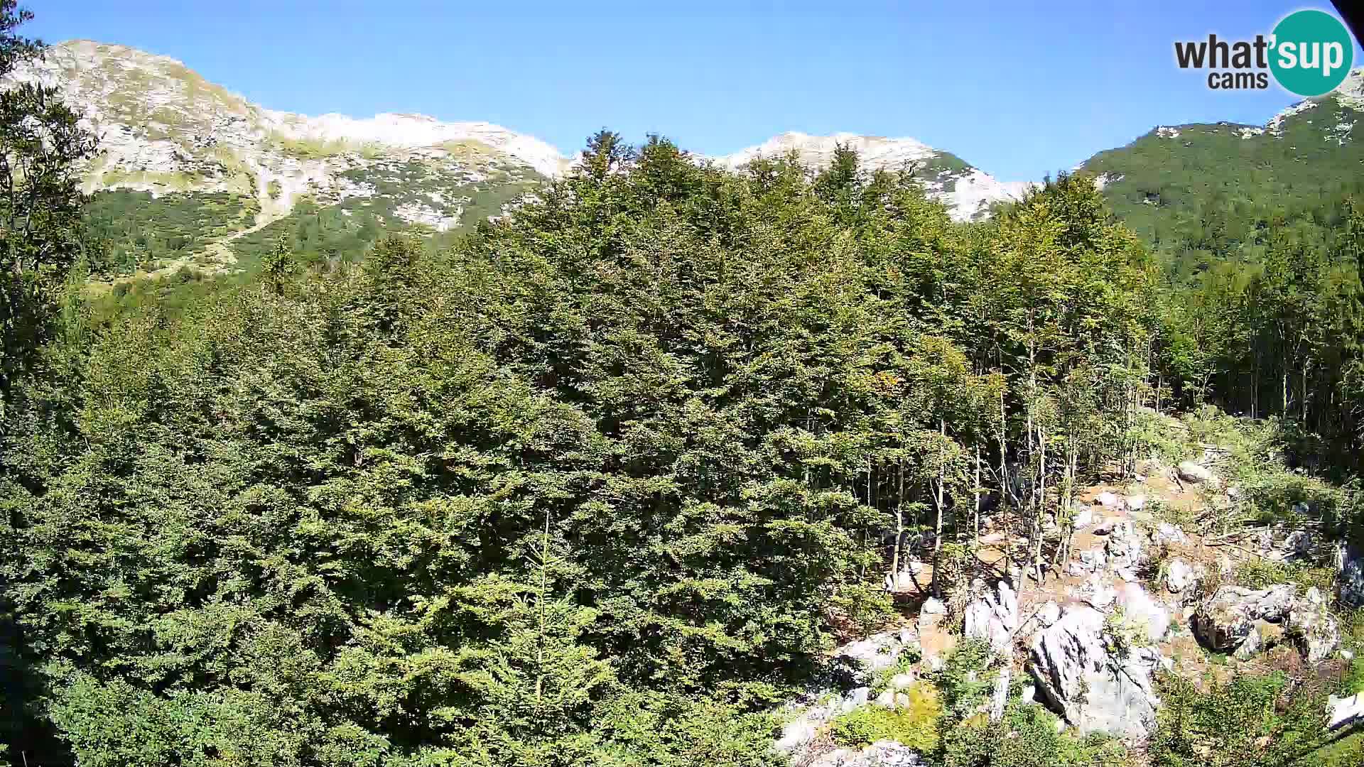 PLANINA RAZOR Live Cam (1315) | vista su Vogel e Globoko