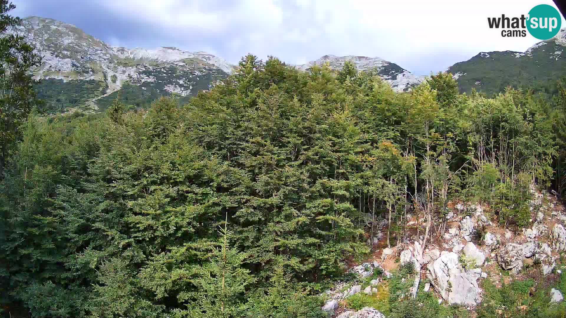PLANINA RAZOR Live Cam (1315) | vista su Vogel e Globoko