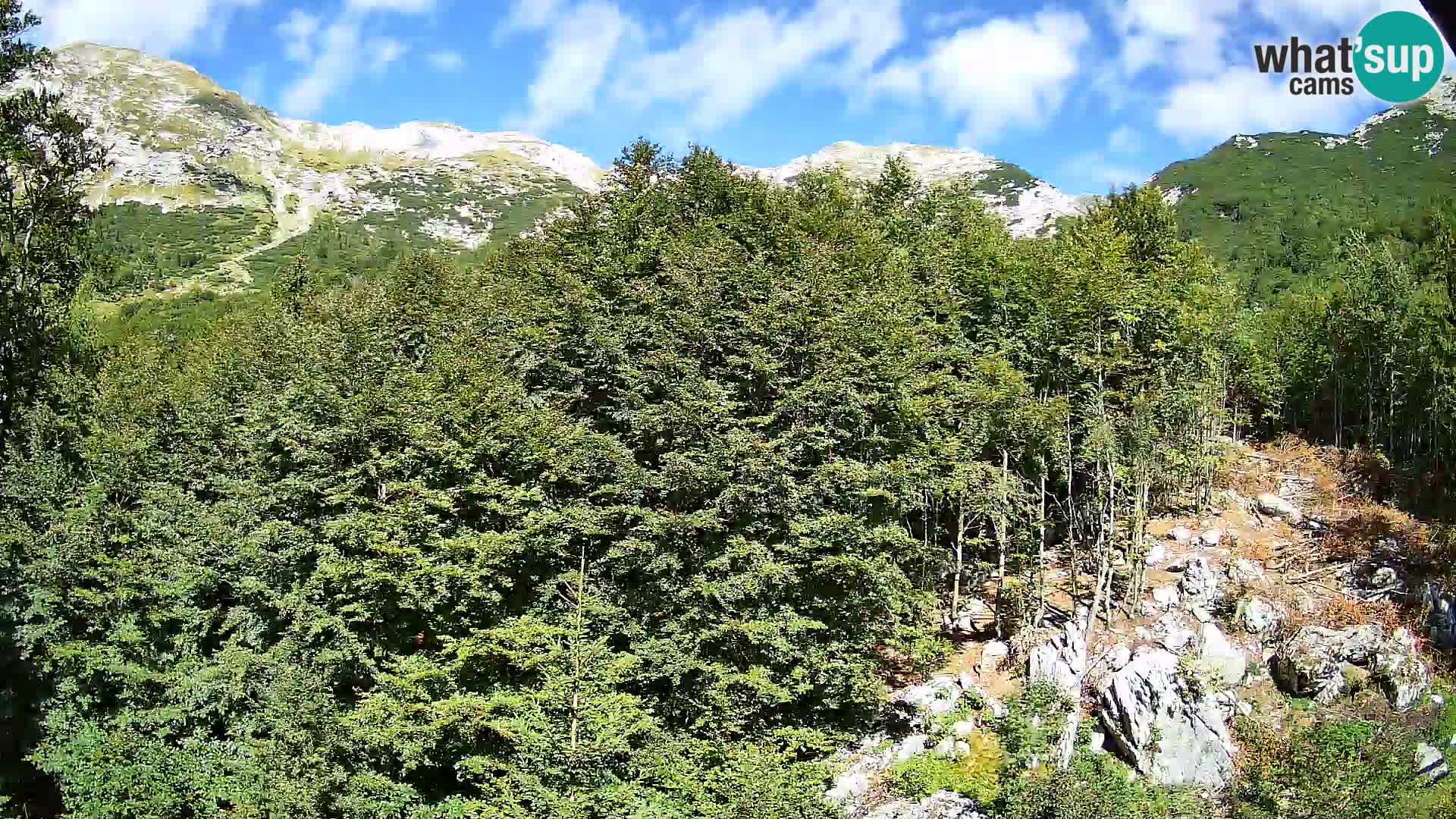 Livecam PLANINA RAZOR (1315) | vue sur Vogel et Globoko