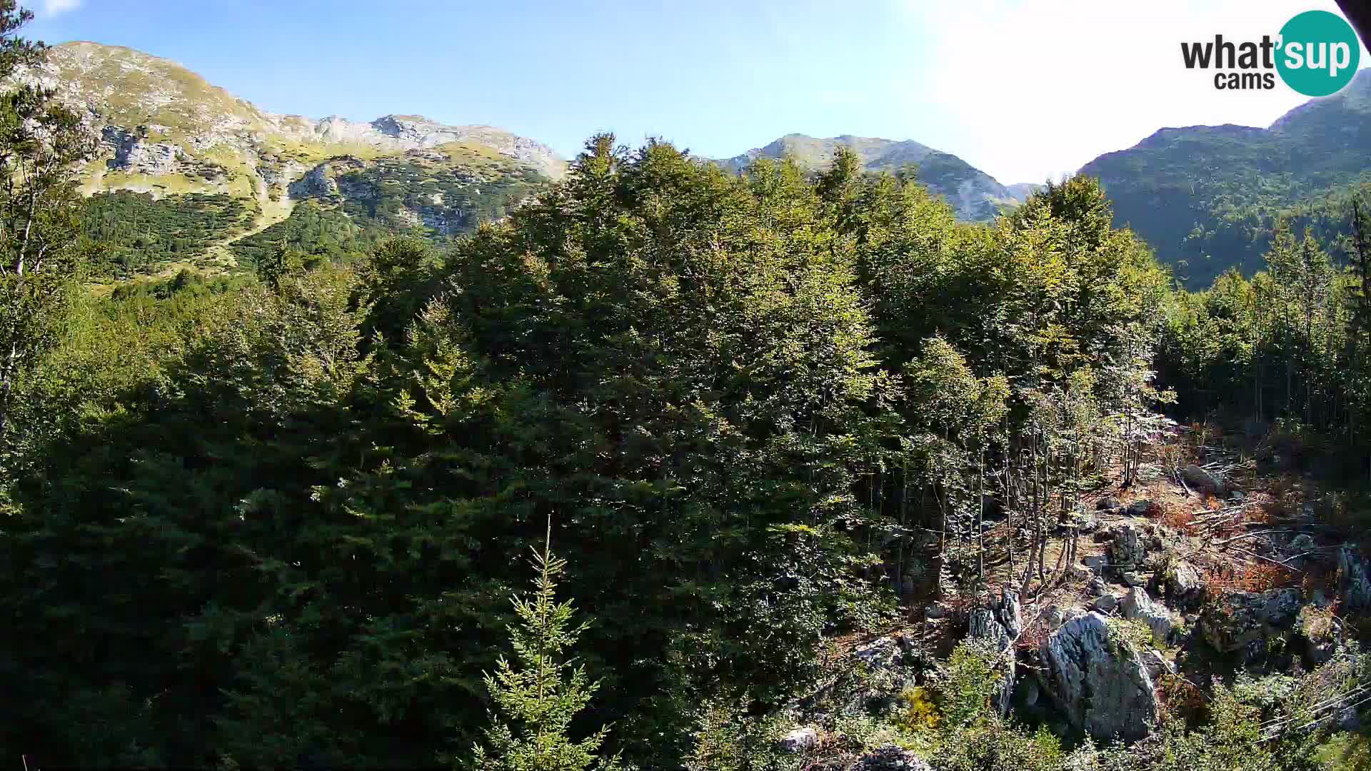 Webcam PLANINA RAZOR (1315) | Blick auf Vogel und Globoko