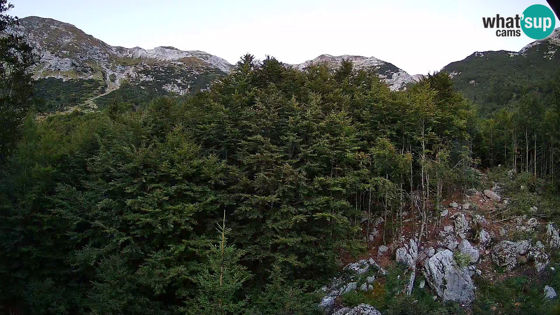 Cámara web PLANINA RAZOR (1315) | vista a Vogel y Globoko