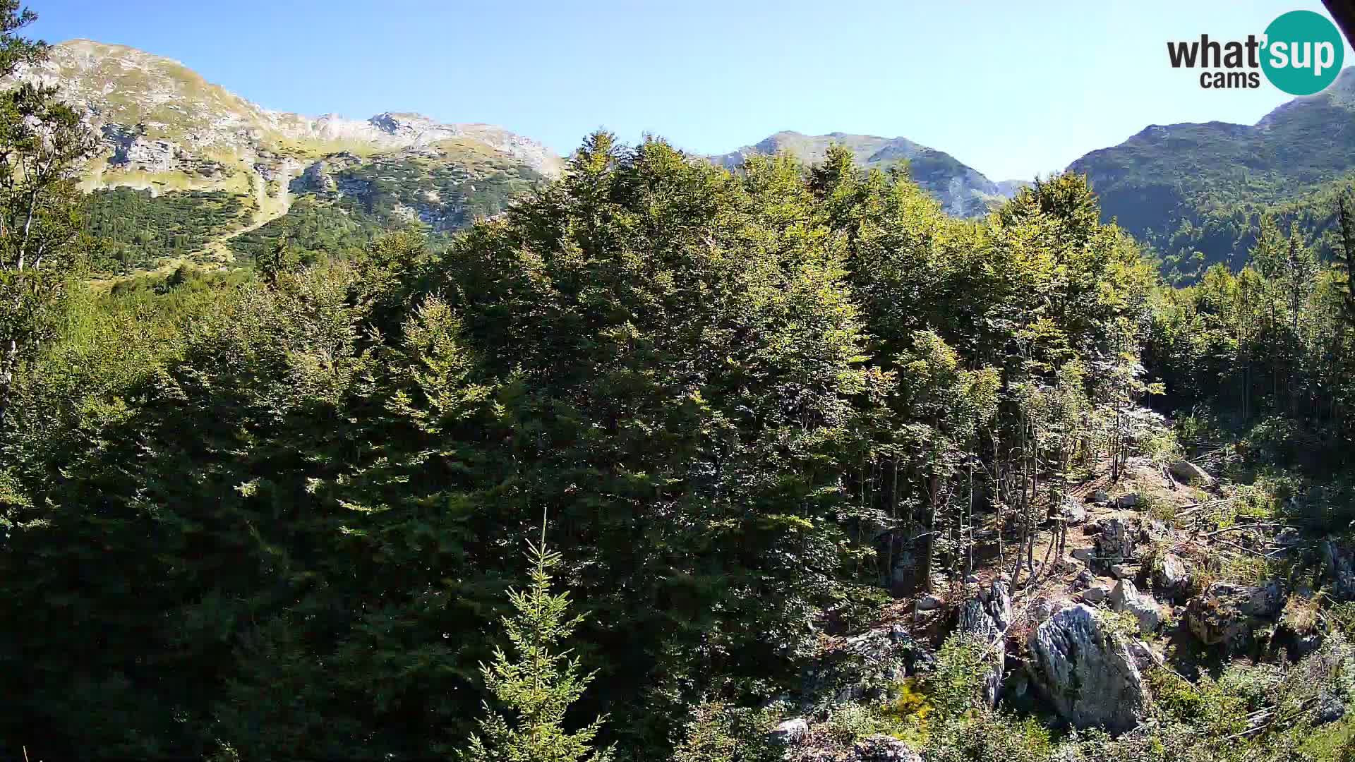 PLANINA RAZOR webcam (1315) | view to Vogel and Globoko