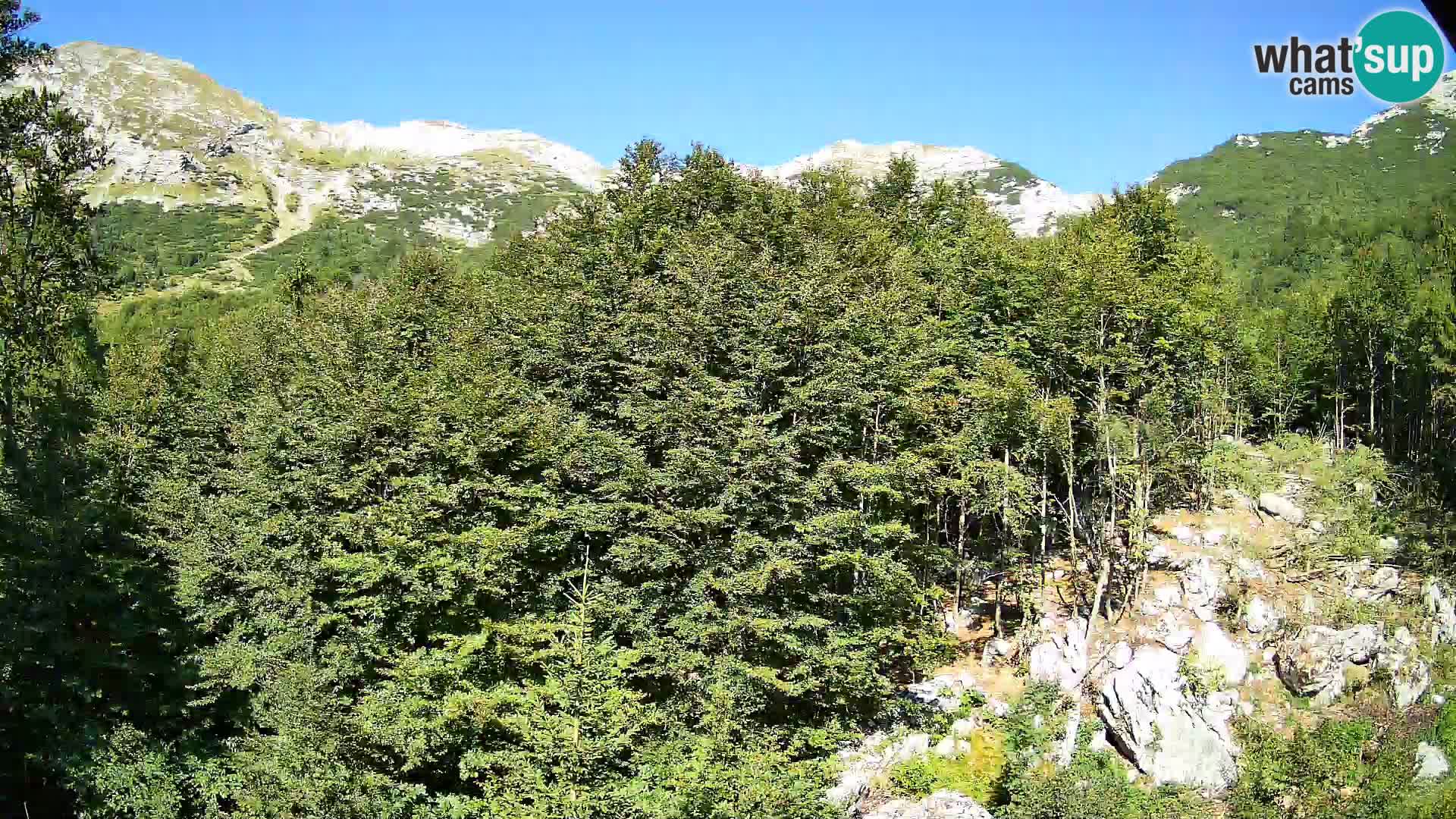 PLANINA RAZOR webcam (1315) | view to Vogel and Globoko