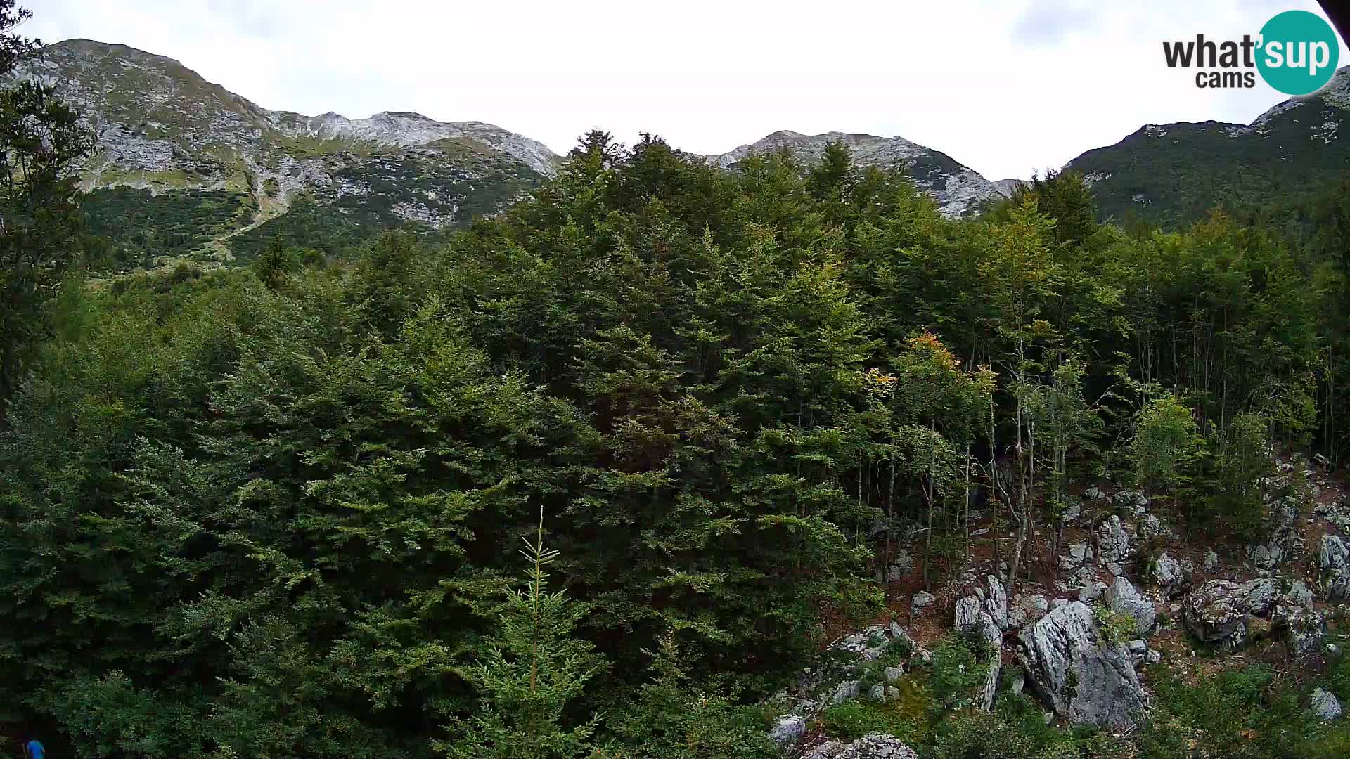 Webcam PLANINA RAZOR (1315) | Blick auf Vogel und Globoko