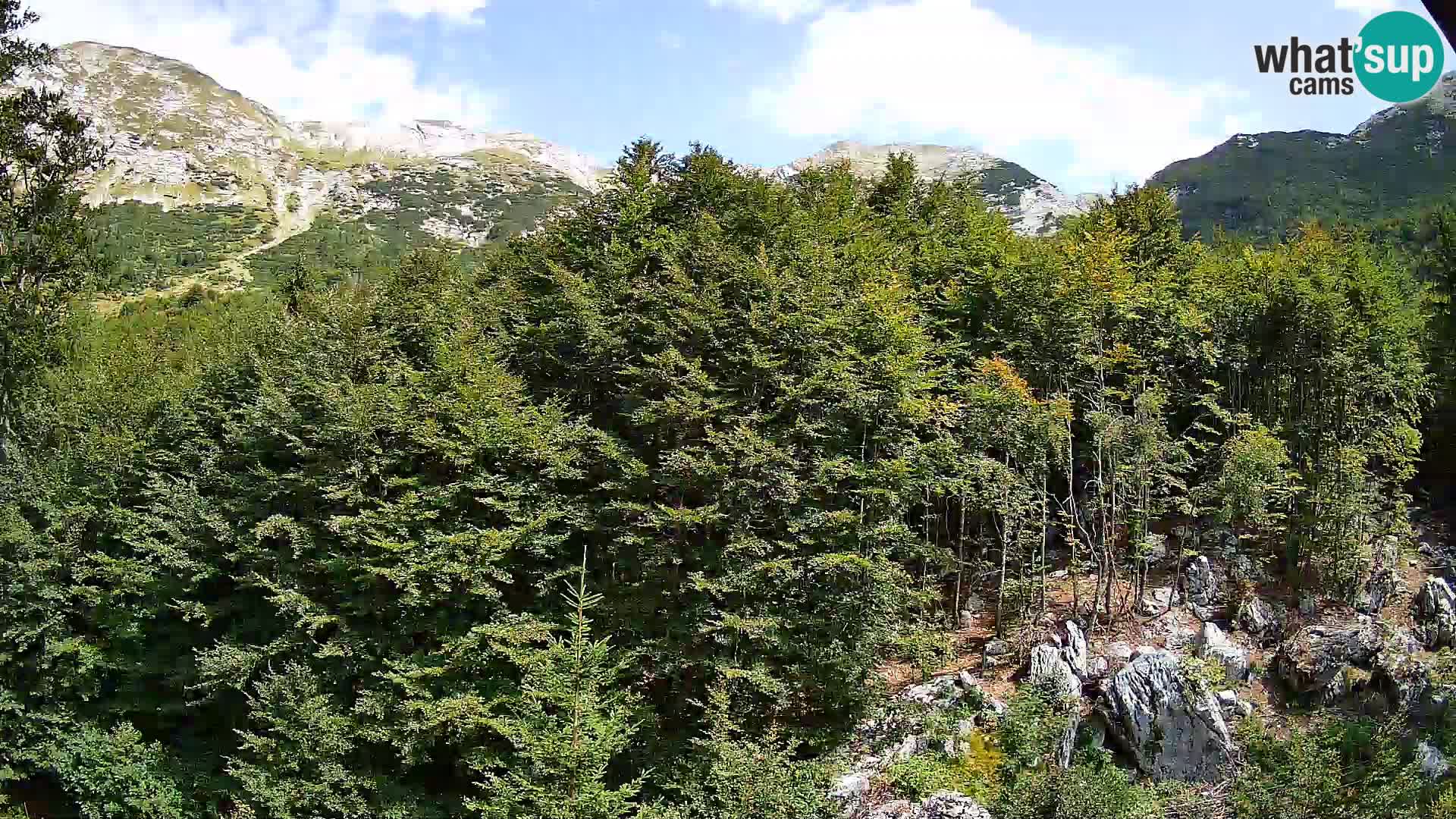 Livecam PLANINA RAZOR (1315) | vue sur Vogel et Globoko