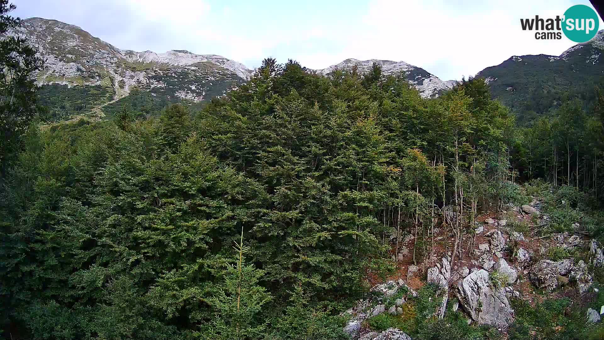 Webcam PLANINA RAZOR (1315) | Blick auf Vogel und Globoko