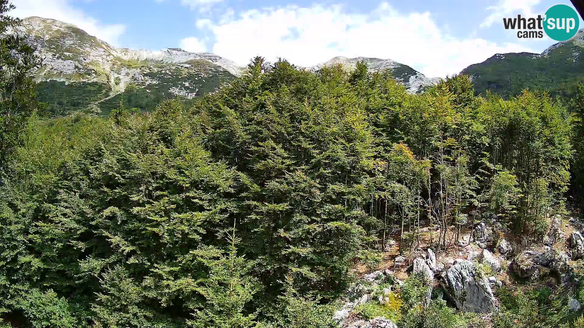PLANINA RAZOR kamera (1315) | pogled na Vogel in Globoko