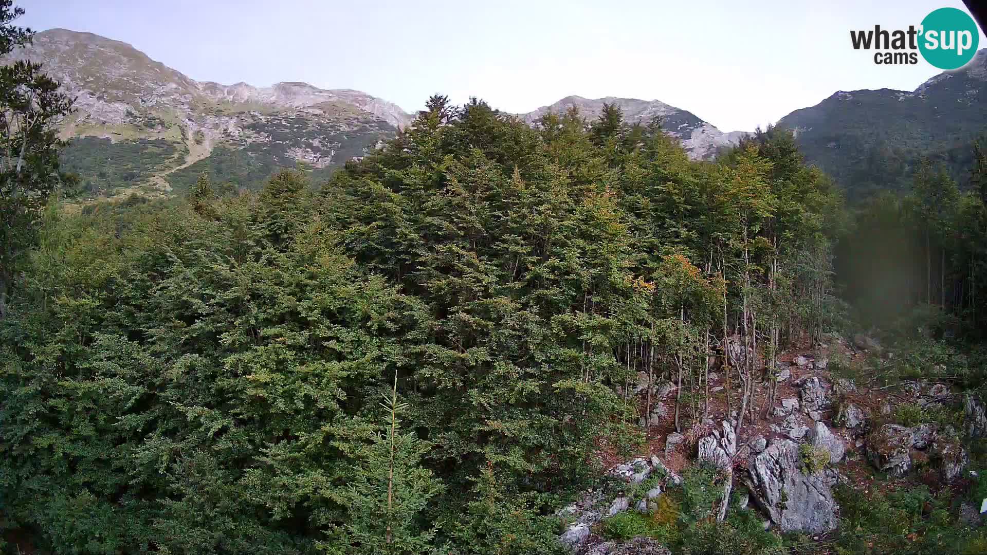 PLANINA RAZOR webcam (1315) | view to Vogel and Globoko