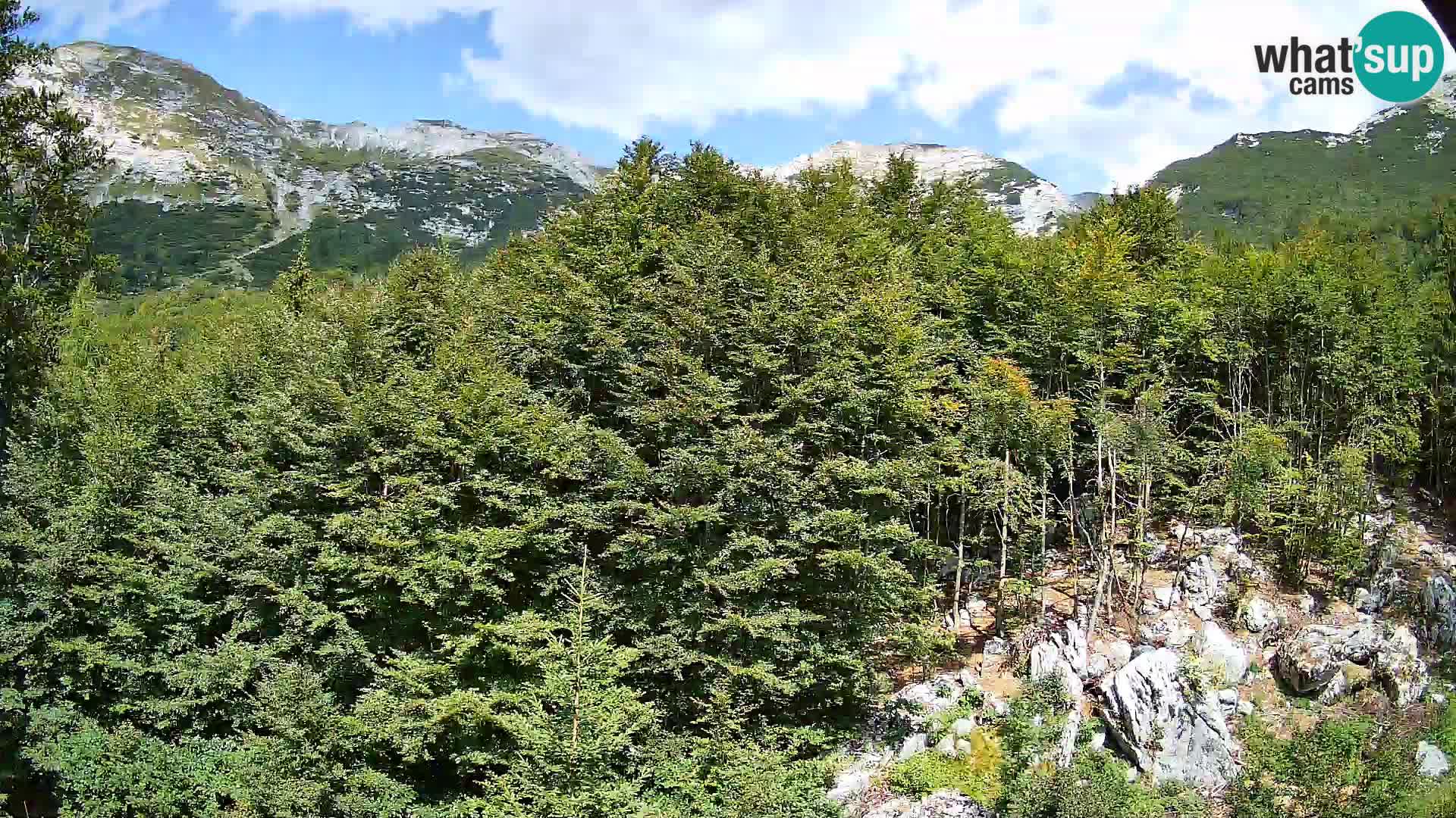 Cámara web PLANINA RAZOR (1315) | vista a Vogel y Globoko